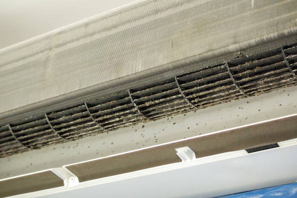 Best Air Duct Cleaning Near Me  in Lisbon, ND